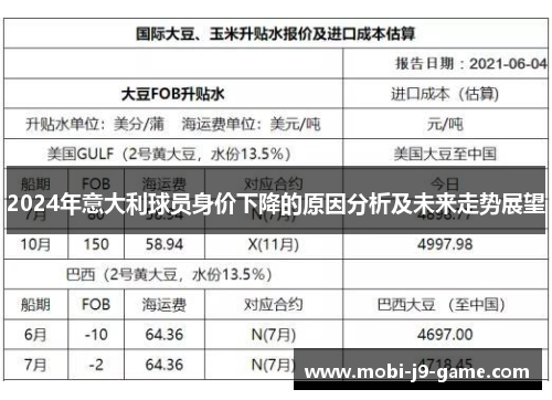 2024年意大利球员身价下降的原因分析及未来走势展望 2024年意大利球员身价下降的原因分析及未来走势展望