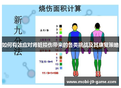 如何有效应对肾脏损伤带来的各类挑战及其康复策略 如何有效应对肾脏损伤带来的各类挑战及其康复策略