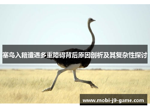 塞鸟入籍遭遇多重障碍背后原因剖析及其复杂性探讨 塞鸟入籍遭遇多重障碍背后原因剖析及其复杂性探讨