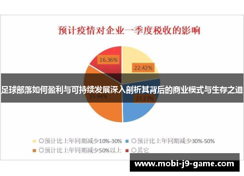 足球部落如何盈利与可持续发展深入剖析其背后的商业模式与生存之道 足球部落如何盈利与可持续发展深入剖析其背后的商业模式与生存之道