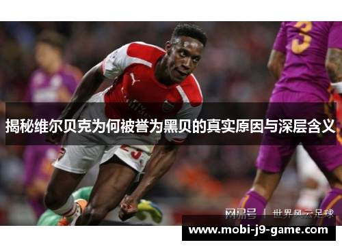 揭秘维尔贝克为何被誉为黑贝的真实原因与深层含义 揭秘维尔贝克为何被誉为黑贝的真实原因与深层含义